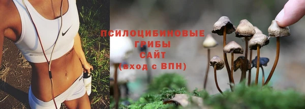 а пвп мука Баксан