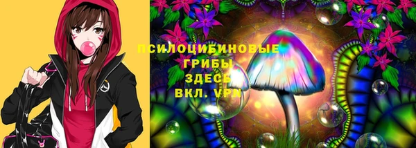 apvp Балахна